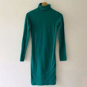American Apparel Stretch Dress with Turtleneck